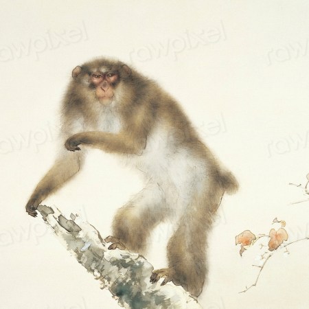 Kansetsu Hashimoto - Old Monkey